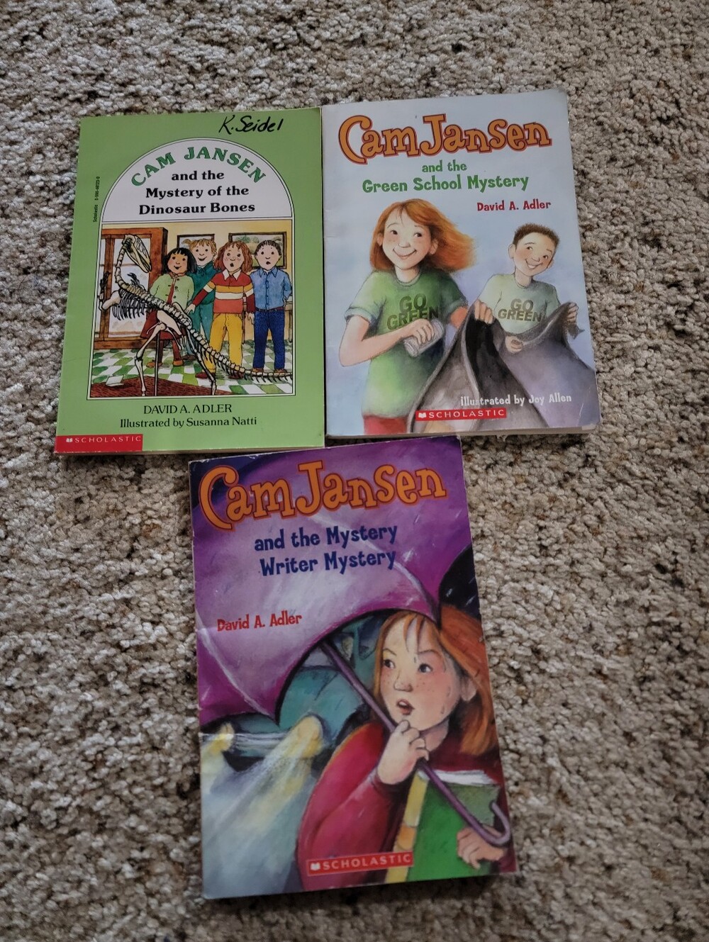 Scholastic Cam Jansen Book Set
